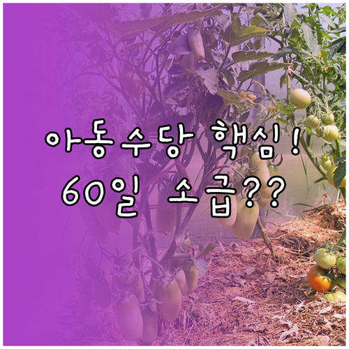 아동수당 2대 핵심 규정: 25일 지..