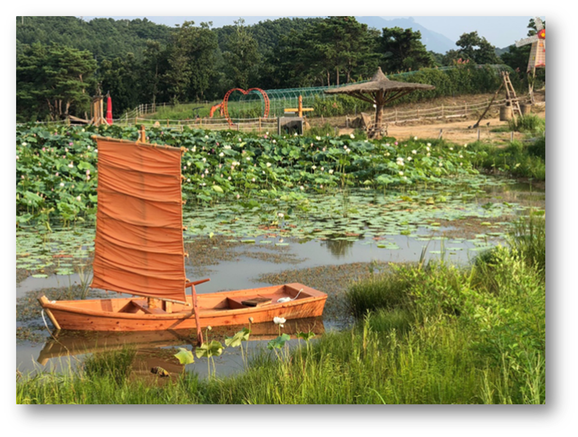 철원 고석정 꽃밭6