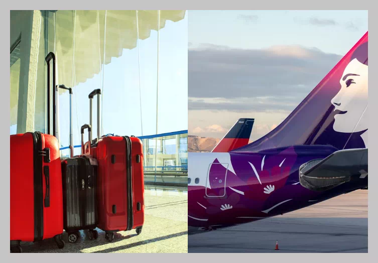 하와이안 항공수하물