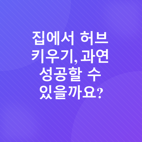 허브 키우기_1