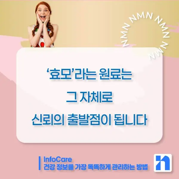 효모 NMN 효능 부작용 복용법