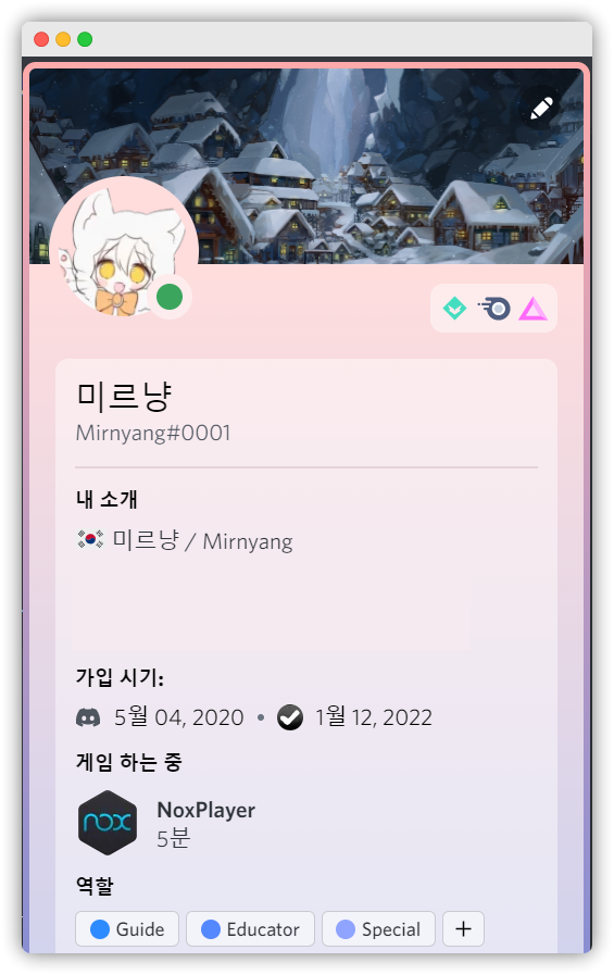 디스코드의 프로필 테마 예시 사진