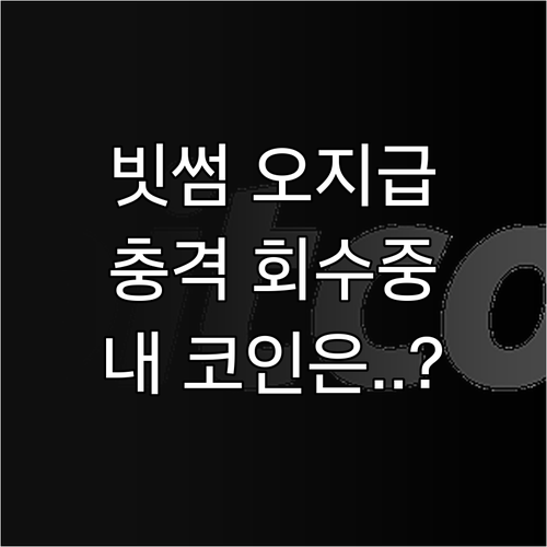 빗썸 비트코인 오지급 사고 회수 절차..