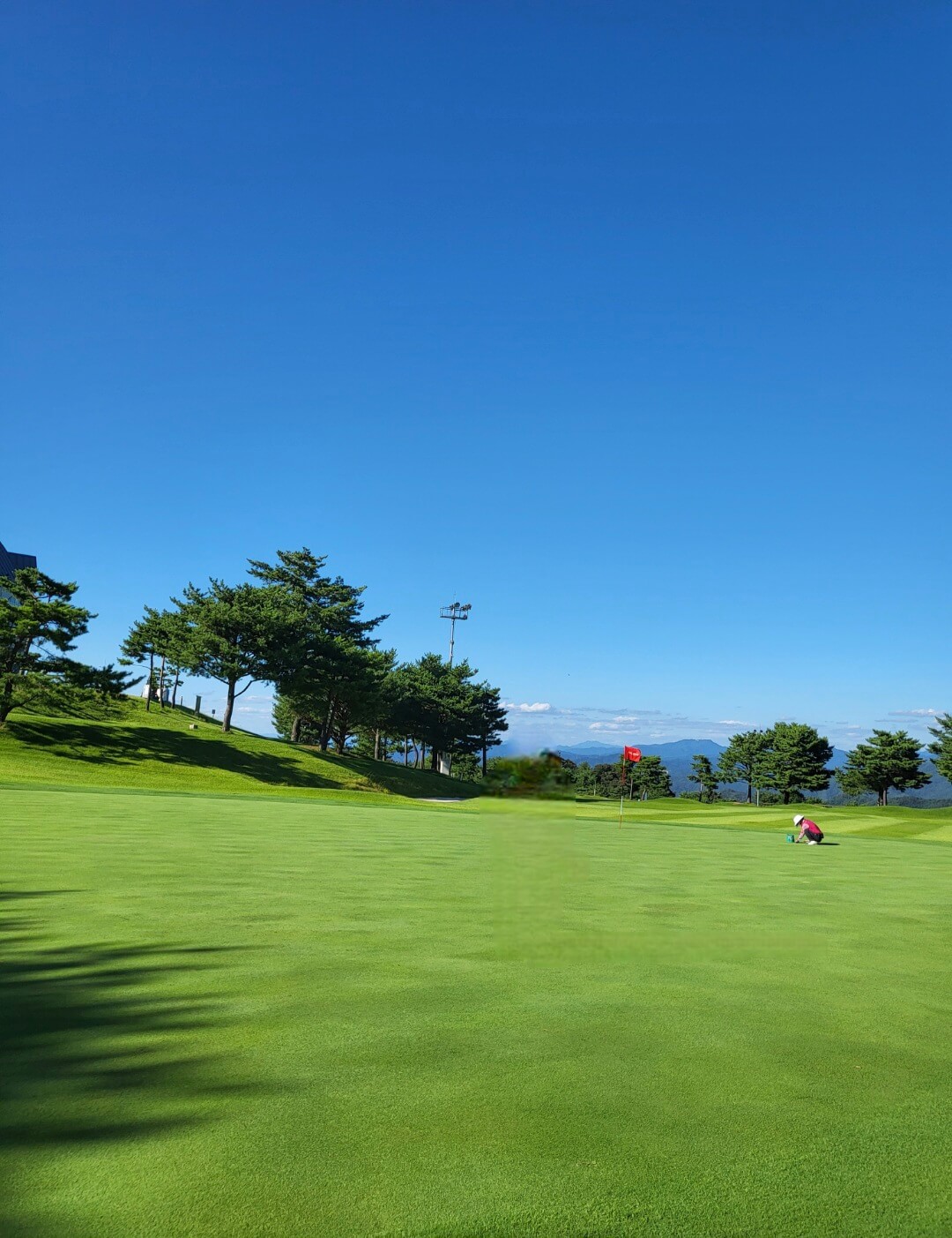 소노펠리체CC비발디파크마운틴 코스그린