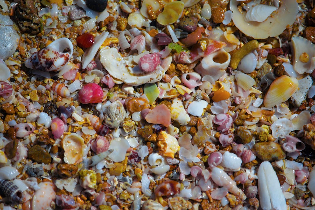 Food waste