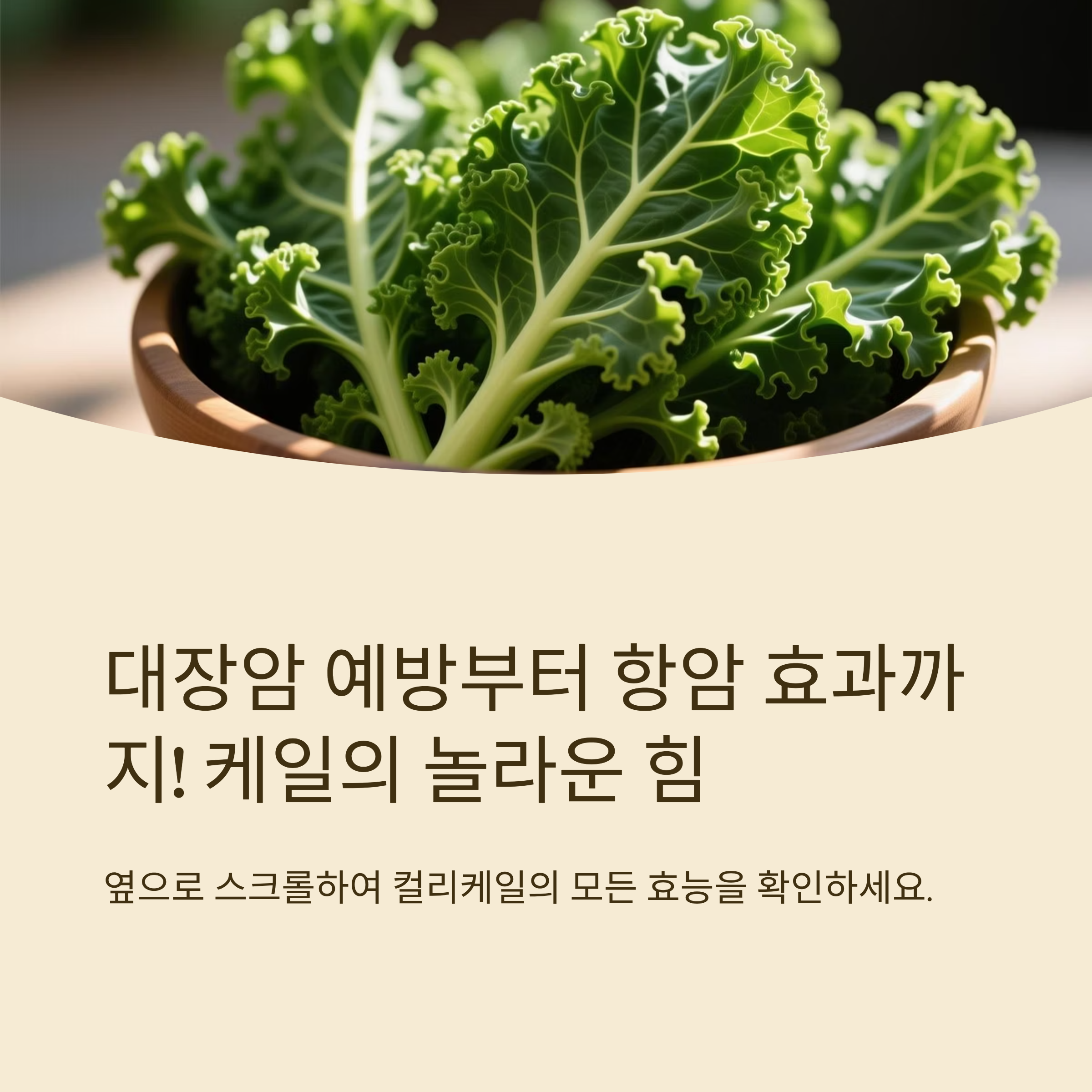 컬리케일 효능 총정리! 혈당·대장암 예방·항암까지 세계적 연구와 내 경험