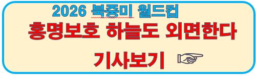 홍명보를 외면한다 기사보기
