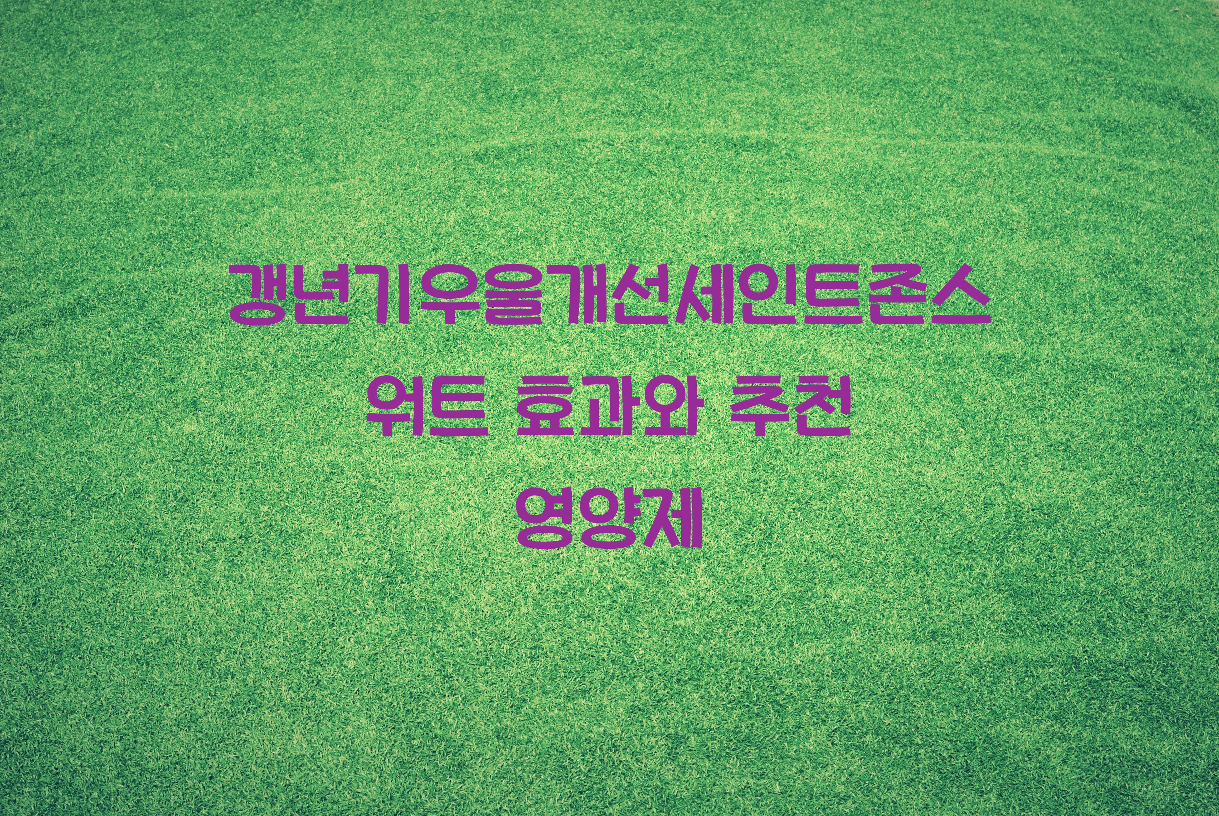 갱년기우울개선세인트존스워트