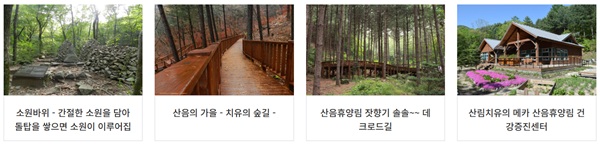 산음자연휴양림,산음자연휴양림예약,양평휴양림,경기도휴양림,산림휴양포털,산음휴양림요금,치유의숲,휴양림캠핑,경기도가볼만한곳,산음자연휴양림이용팁