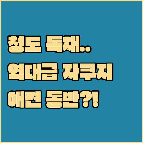 청도 독채 펜션과 애견 동반 자쿠지 ..