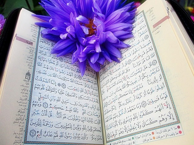 파파고 번역기 다운로드