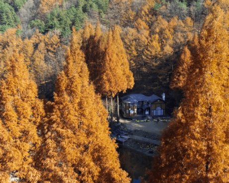 임업·산림 공익직불금