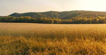 공익직불금 신청 자격