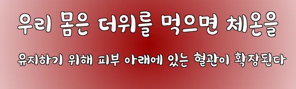  우리 몸은 더위를 먹으면 체온을 유지하기 위해 피부 아래에 있는 혈관이 확장된다