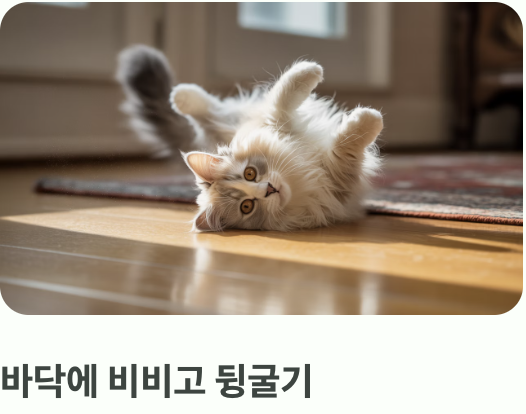 우리 냥이의 행복한 반응들