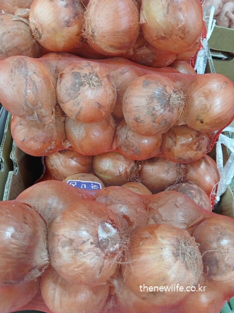 Onions for belly fat reduction meals/똥배 없애는 식단에서 자주 사용한 양파
