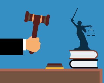 ⚖️ 소송은 어떻게 흘러갈까?