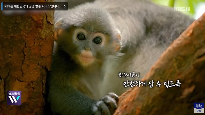 인관과 공존하는 동물