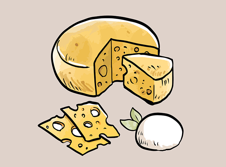 여러가지-치즈의-모습