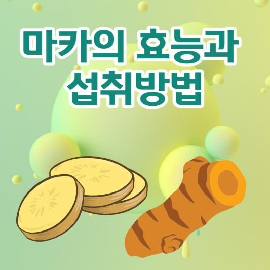 마카 효능과 섭취방법에 대해 알아보자