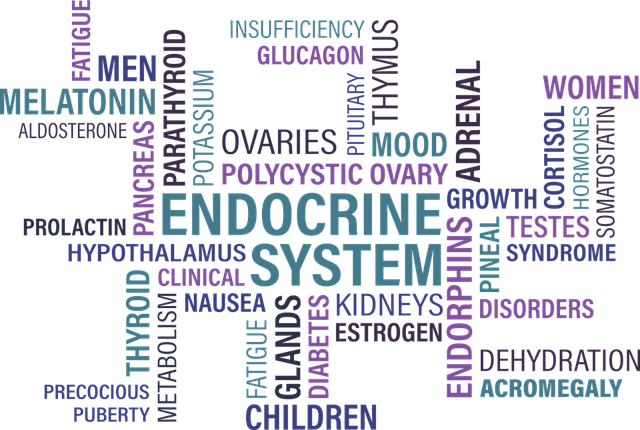 대사증후군 관리법과 루틴