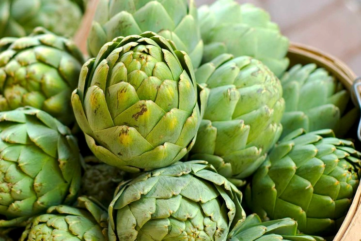 아티초크 효능 7가지 손질법 및 아티초크 추천 요리