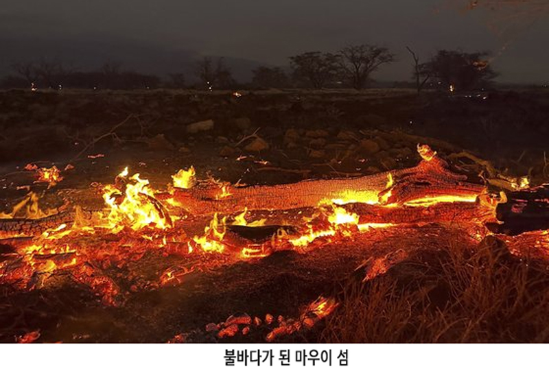 하와이 마우이 산불