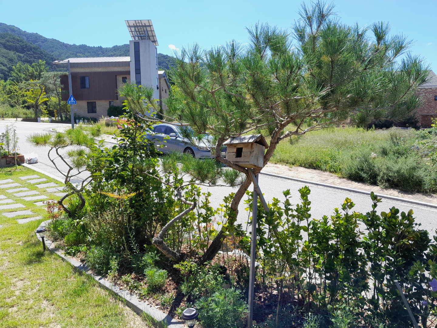 전원주택 나무식재