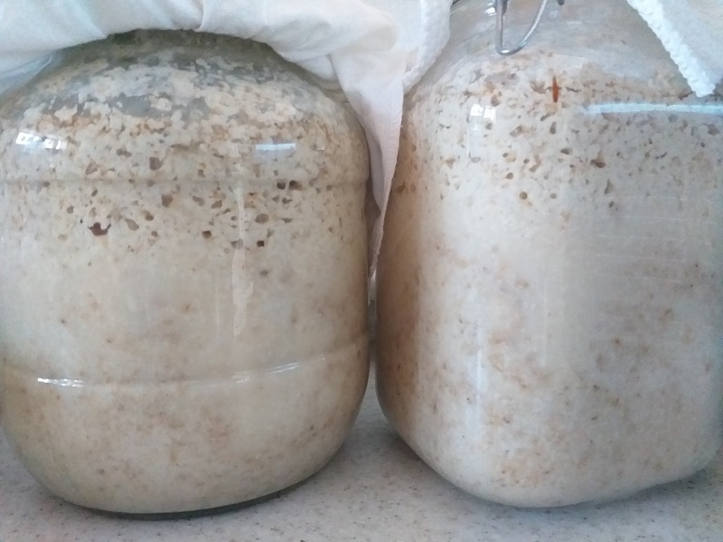 막걸리 만드는 방법