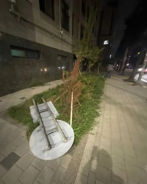 2024년 서울 반려견 순찰대 종료! 2025년 모집은 언제부터? [댕댕이&amp;#44; 강아지]