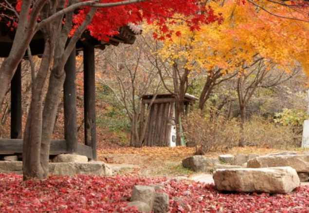 2025 가을 경상도 단풍 명소 산행 추천 ❘ 주왕산&middot;가야산&middot;팔공산 절정 시기