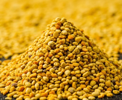 벌화분 효능 및 부작용, 먹는법, 먹는양, 당뇨의 관계, 유통기한, 보관방법