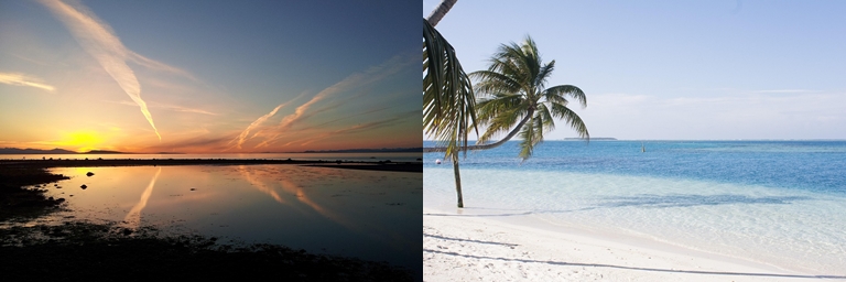 동해안 해수욕장 관련 사진