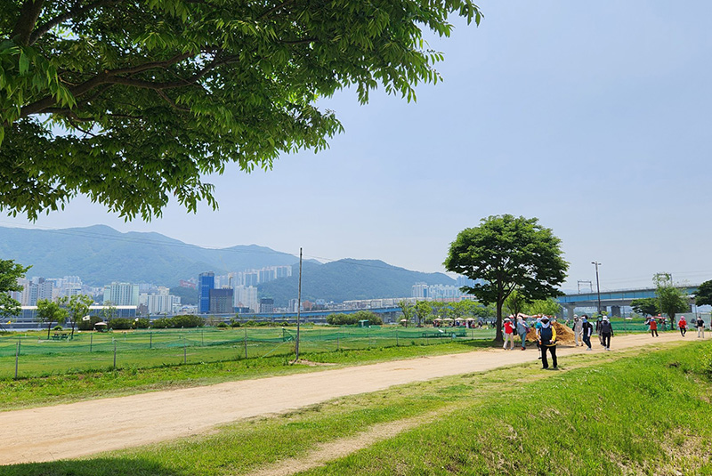 대저생태공원파크골프장. 부산광역시 강서구 대저1동 1-5