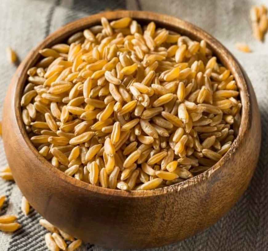 카무트 효소 추천