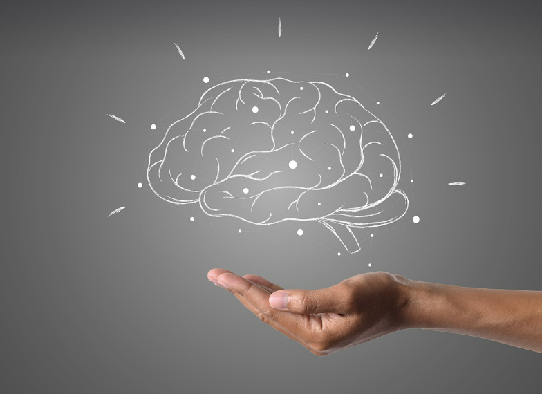 뇌 건강을 위한 식습관: 기억력과 집중력을 높이는 음식