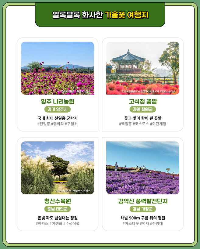 2024 숙박 세일 페스타 쿠폰