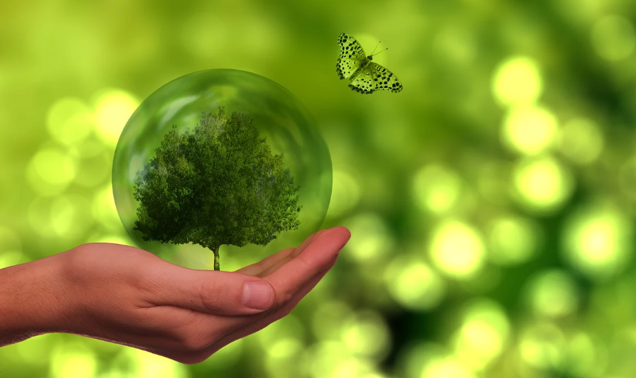 친환경 소비 관련 사진