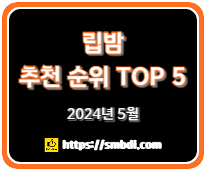 립밤 추천 순위 TOP 5 - 네이버, 쿠팡, 올리브영 비교 분석