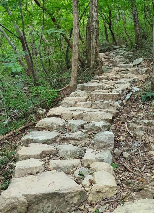오대산 월정사 가는길
