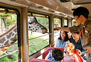 에버랜드 통신사 할인