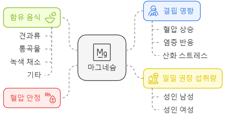마그네슘 섭취