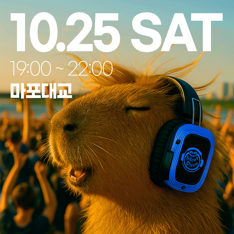 한강 무소음 DJ 파티