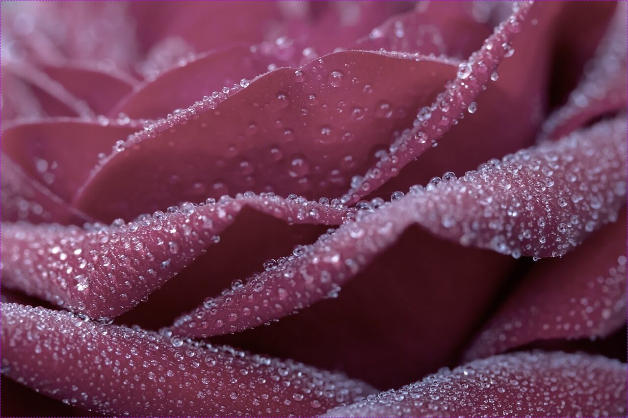 편의점 창업비용