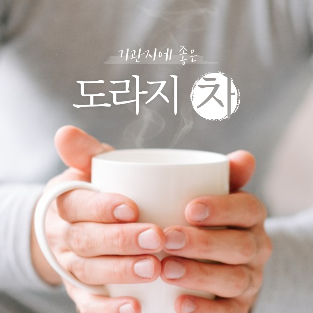 도라지차 효능 부작용