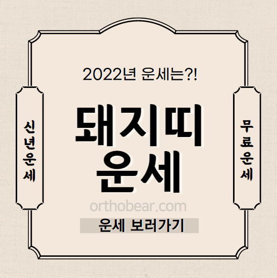 2022년 돼지띠 운세