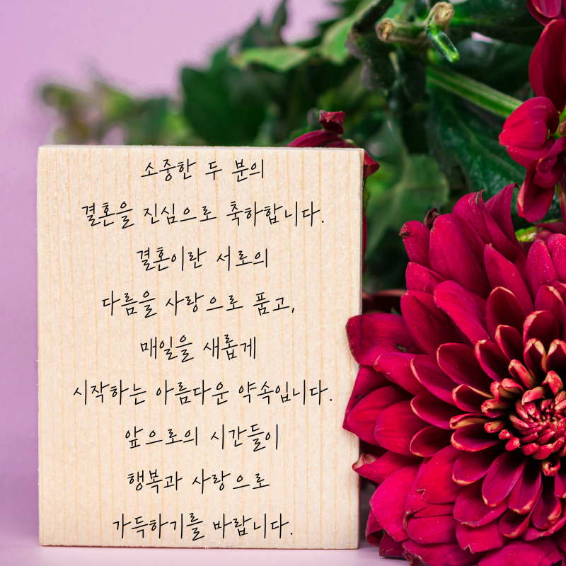 결혼축하 메세지 문구 이미지 글 모음