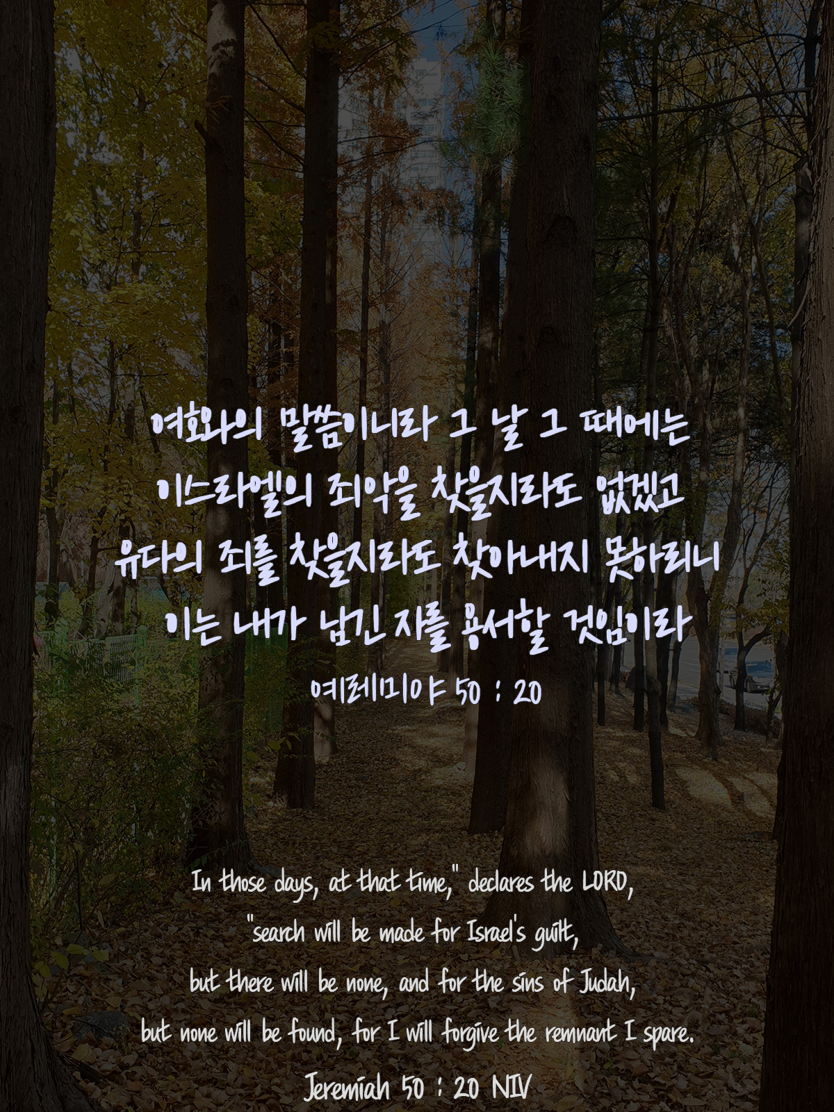 예레미야 50장