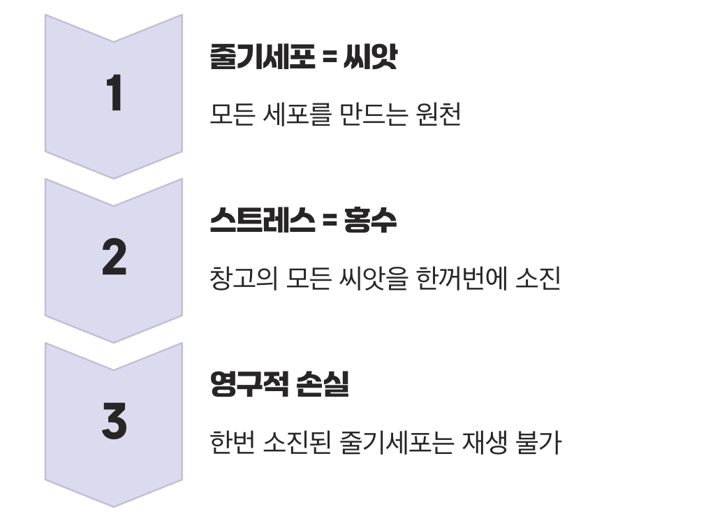 돌이킬 수 없는 고갈