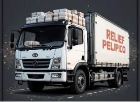 산불 재난지원금 신청하기